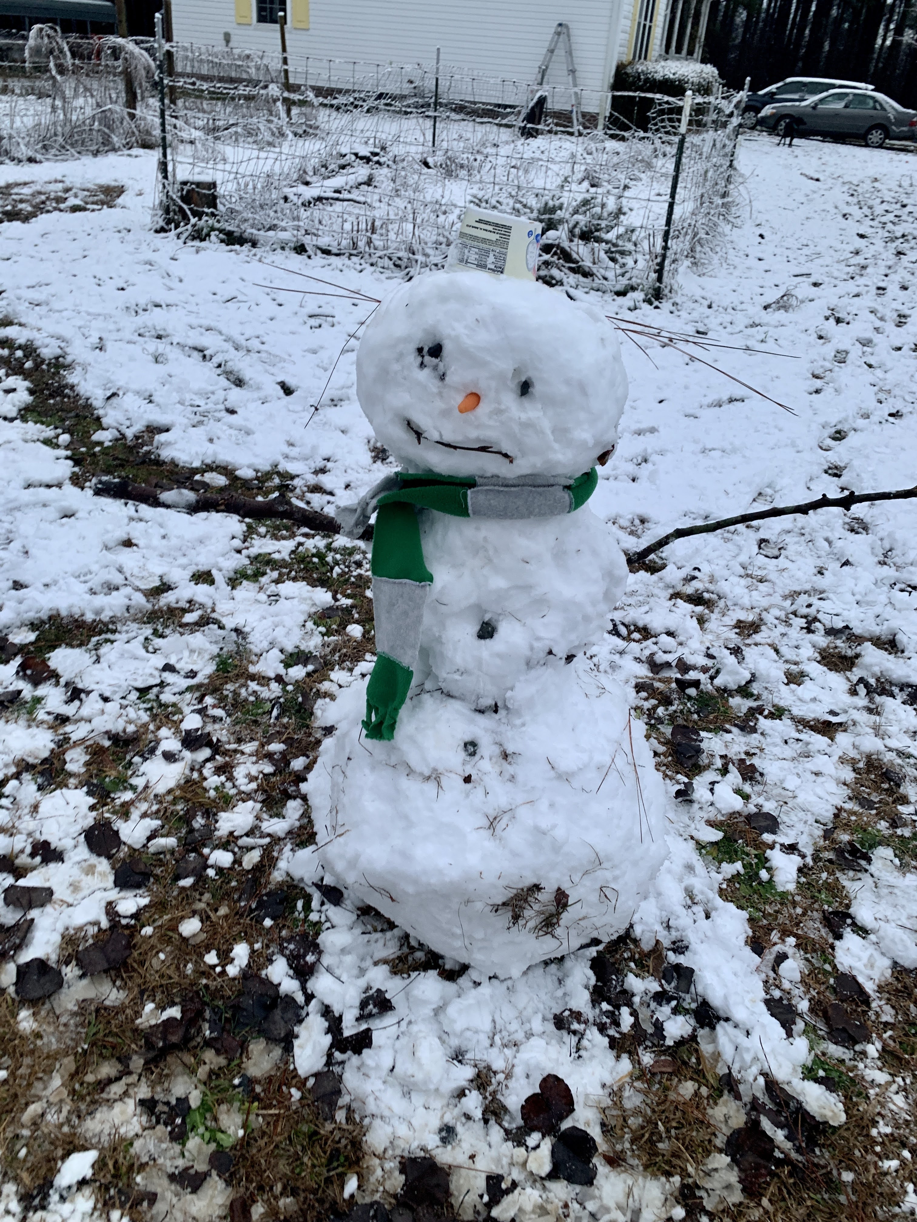 Snow Day